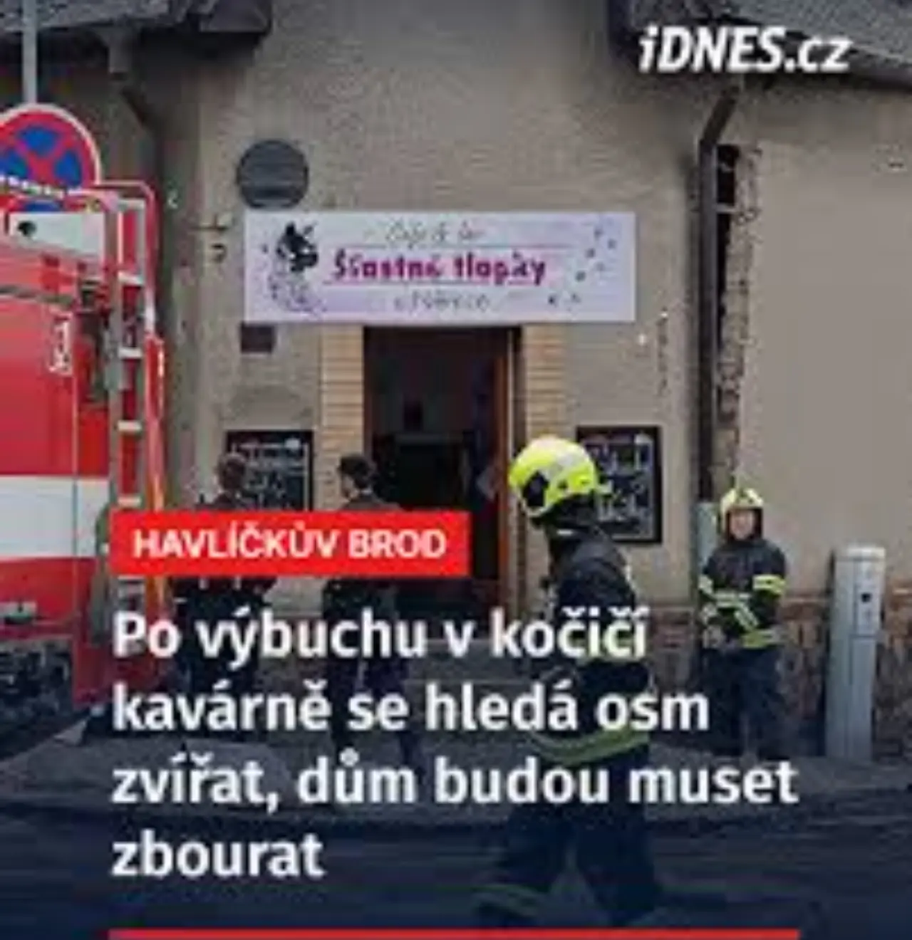 Pojďme dát kočičkám druhou šanci, obnovme kočičí kavárnu café & bar Šťastné tlapky