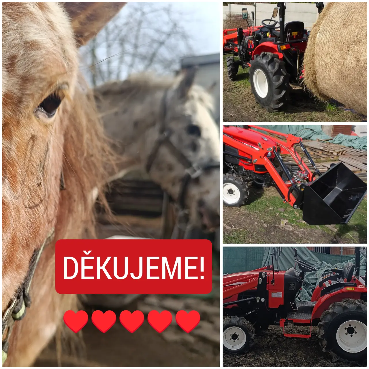 Podpořili jste místo naděje a zázraků pro týrané a opuštěné pejsky, koně a kočičky