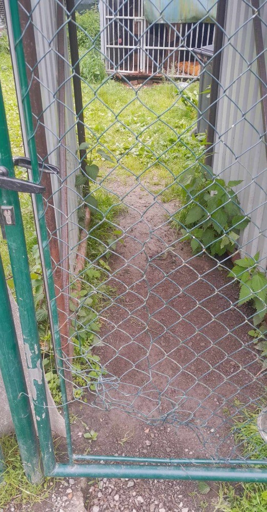 Pomohli jste přispět na opravu poničeného areálu psího útulku