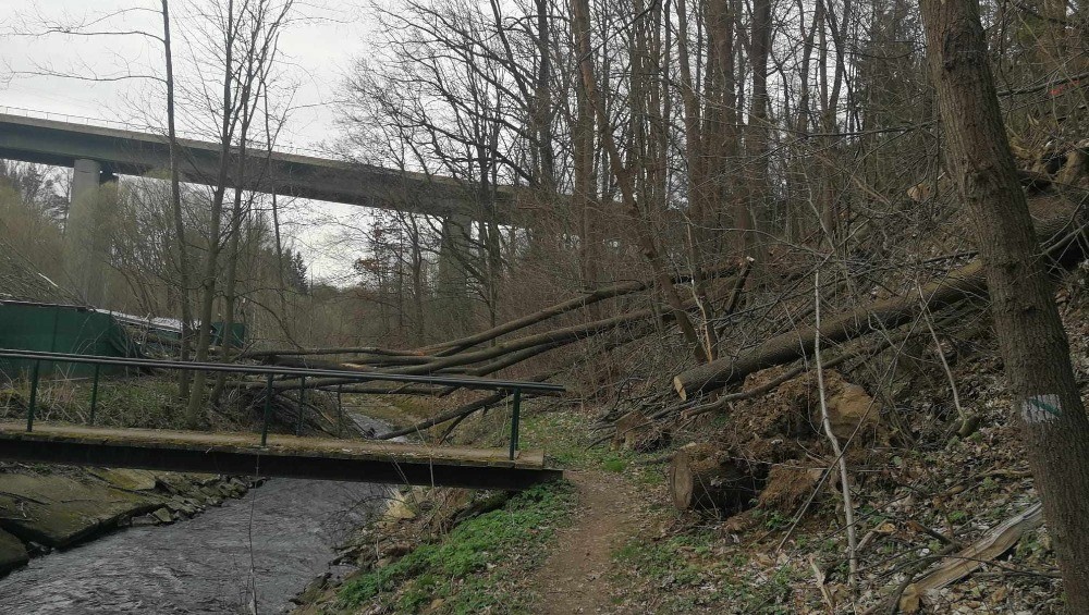 Pomohli jste přispět na opravu poničeného areálu psího útulku
