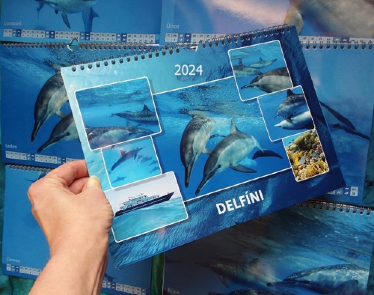 Ponořte se se mnou pod hladinu Rudého moře - kalendář "Delfíni z korálové laguny 2025"