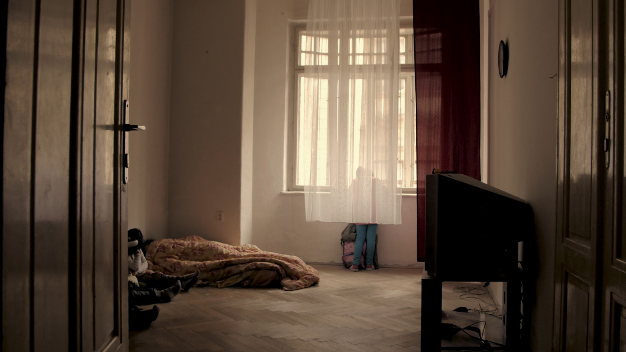 Bydlet proti všem – film Tomáše Hlaváčka