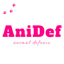Dárky pro AniDef