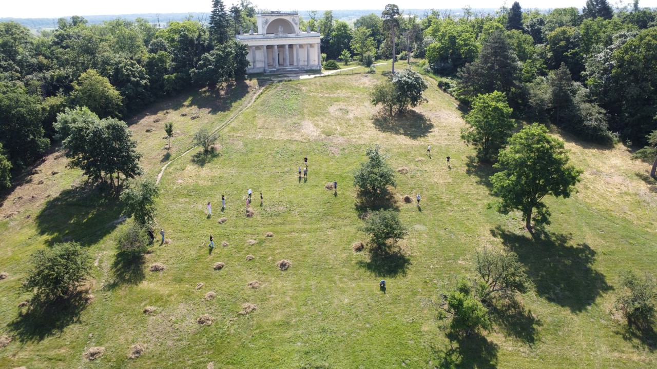 Obnova louky a pláže pod Apollonovým chrámem u Lednice na Moravě, anglický park
