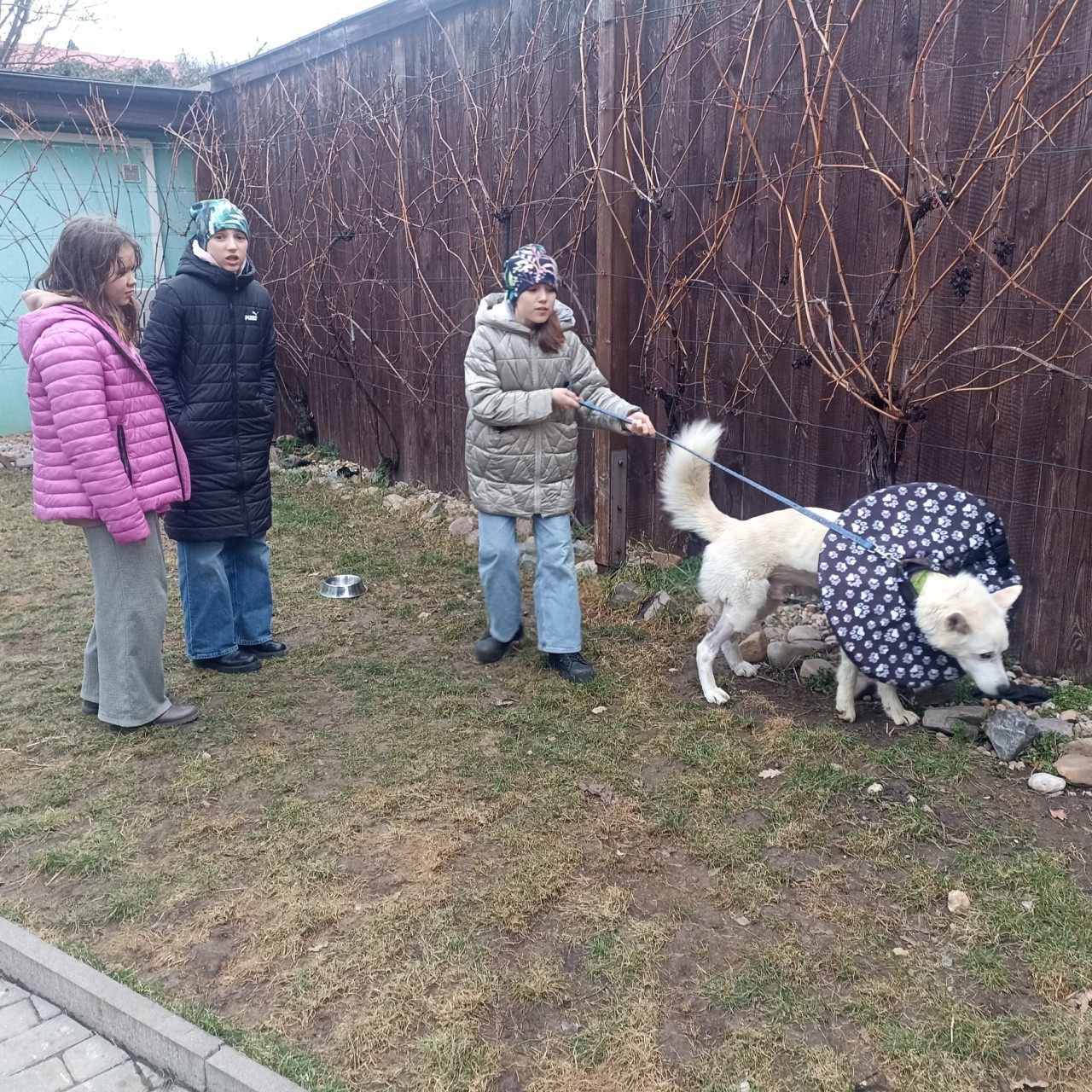 Pomohli jste Neepsovi s nákladnou léčbou a operací nohy