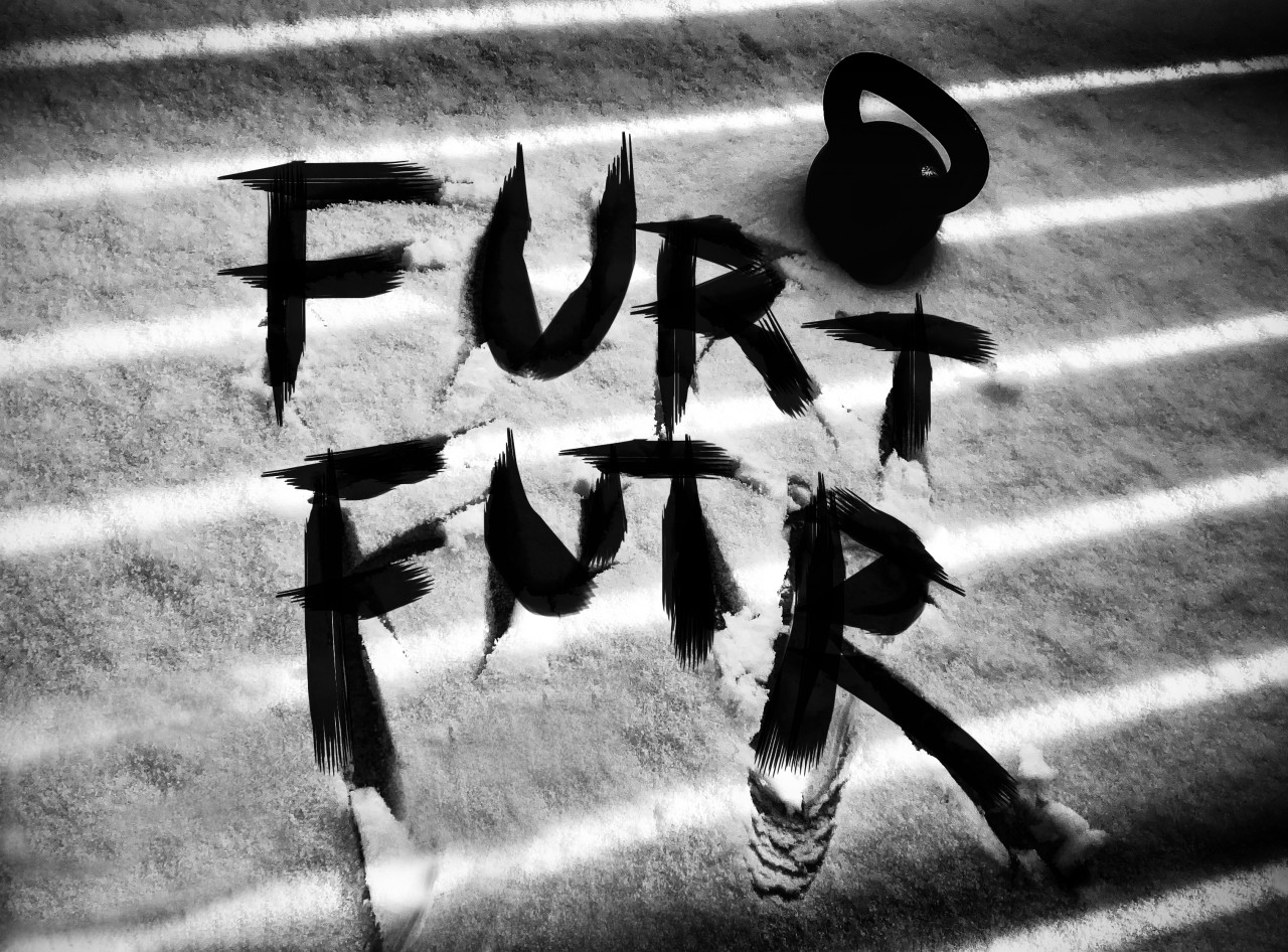 #FurtFuTr - podpořte s námi náš gym!