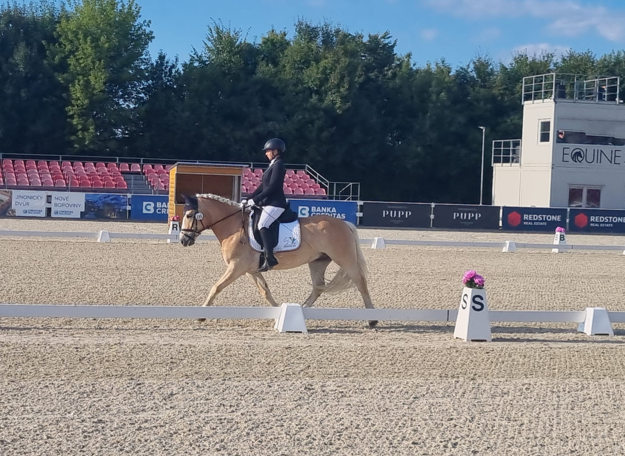 Přepravník koní pro handicapované jezdce