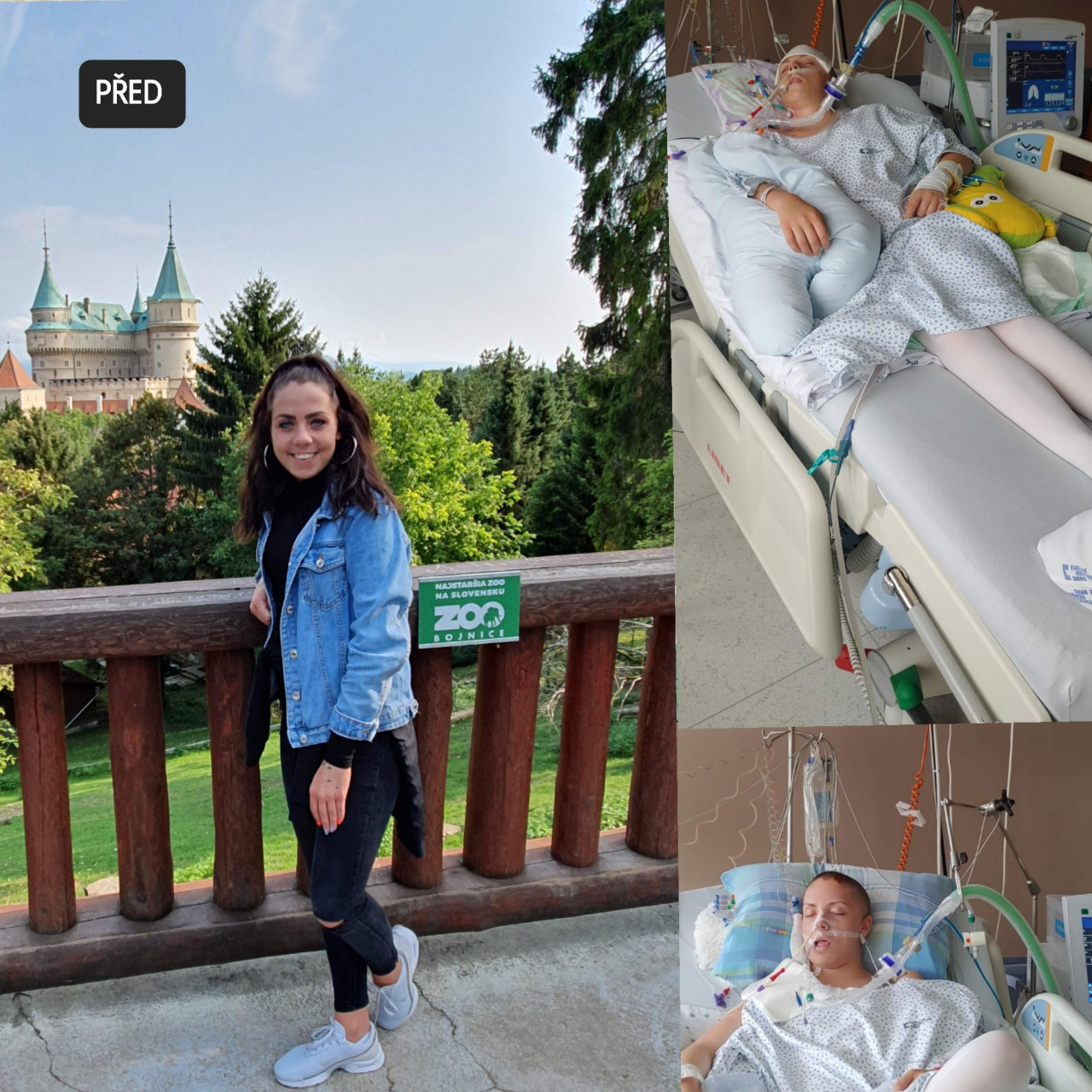 Pomohli jste Míše s návratem do běžného života