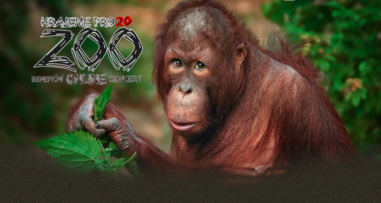 Hrajeme pro 20 ZOO: benefiční online koncert