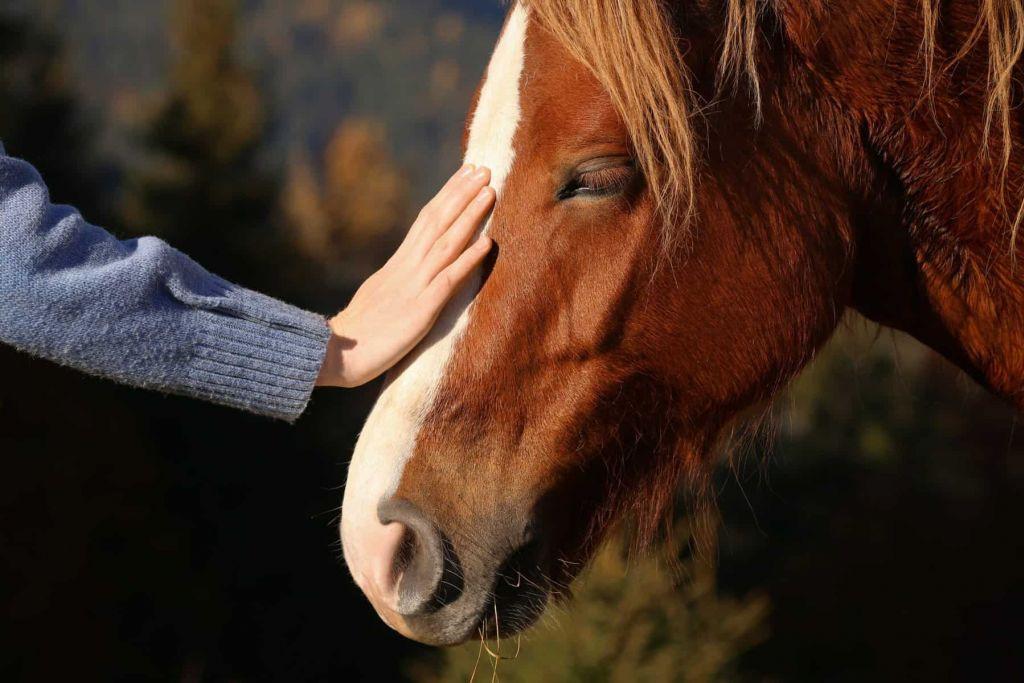 Znovu se postavit na nohy, šířit osvětu a pomáhat lidem s podobnými problémy