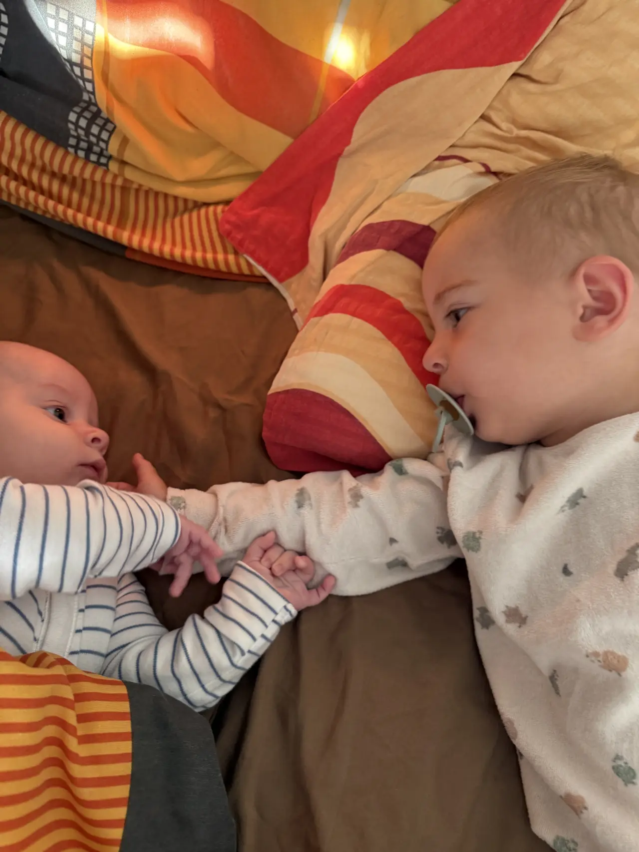 Pomohli jste Radce a jejím synům