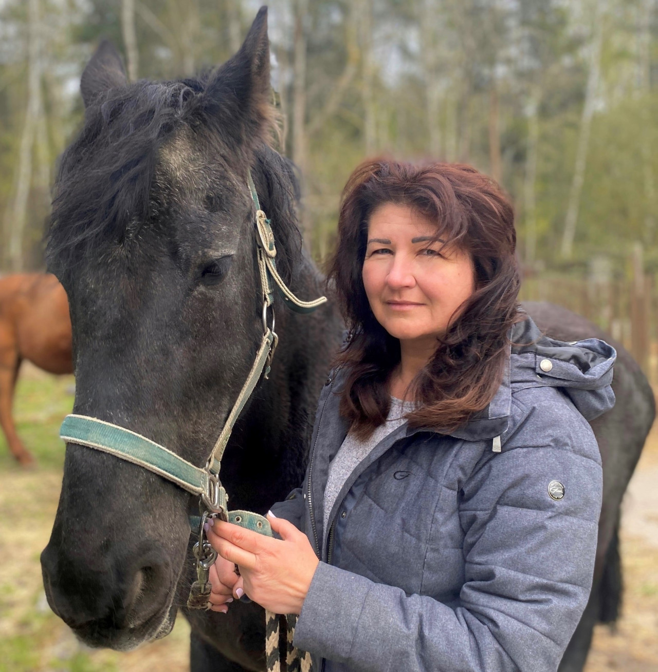 Nová střecha pro koníky hipoterapeuty