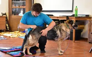 Srdce pro útulek Tibet – Společně zachraňujeme zvířecí životy
