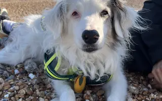 Víc času pro Denyšku ❤️