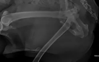 Druhá šance pro Dirka z osady na lepší život