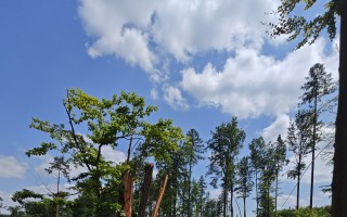 ZACHRAŇME SINGLETRAIL MORAVSKÝ KRAS JEDOVNICE