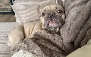 Archie bojuje. A my s ním ♥️