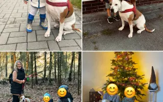 Každý den bez bolesti pro Greice