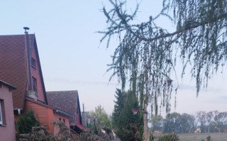 Obnovme naši zahrádkářskou osadu Kateřinky v Opavě!