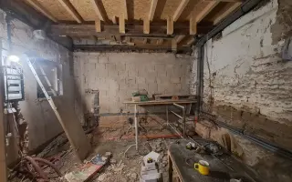 Postavme společně útulek pro kočky a psy