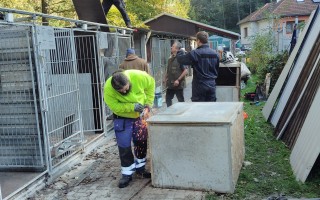 Vlčácký restart - obnova Záchranné stanice