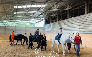 Pomozte nám postavit trojbox pro ustájení hiporehabilitačních koní DORADO z. s.