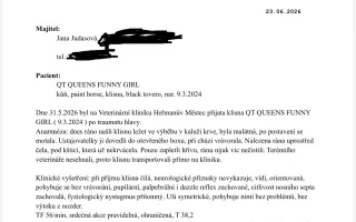 Funny, kráska s frakturou lebky