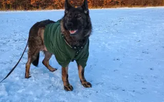 Léčba, která nekončí - Fůrie