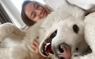 Dvě kolínka pro Oriho. Pomozte Orimu na tlapky