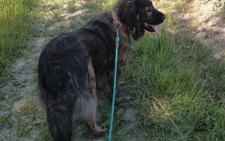 Kotce pro dočasné péče našich svěřenců 🐾