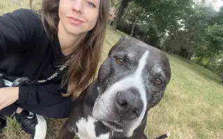 Pomoc pro staffíka Marleyho