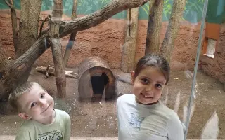 Pomoc pro nevidomého tátu Michala a jeho rodinu