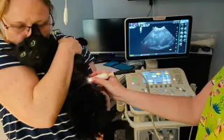 Zalouží si diabetička Pucka žít?