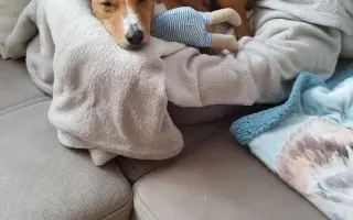 Billinka znovu bojuje o život – pomozte jí ho vyhrát