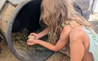 Pidifarma z lesa - společně budujeme bezpečné místo pro zvířata bez klecí