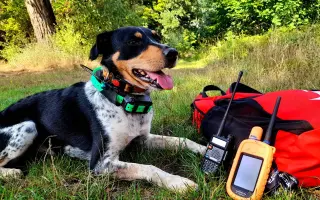 GPS zařízení pro psovody a jejich záchranářské psy