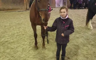 Důstojný život pro naše koňské kamarády