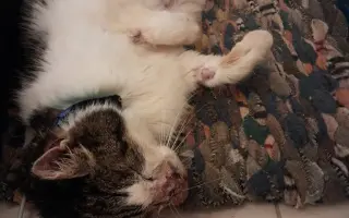 Filípek chce žít: pomoz mu porazit nádor