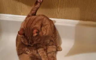 9 nalezených Lásek