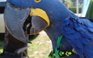 Podpořte rozvoj ptačího parku Ornipark