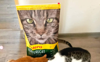 Pomoc s nákupem granulí pro kočičky