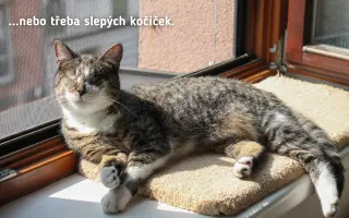 Každá kapka má smysl! Přiveďte vodu do centra pro handicapovaná zvířata