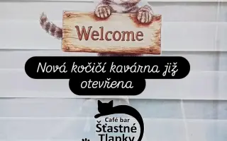 Pojďme dát kočičkám druhou šanci, obnovme kočičí kavárnu café & bar Šťastné tlapky