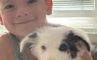 Od tisku k radosti