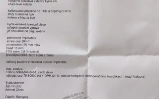 ❤️ Pomozme Belince znovu běhat a žít naplno ❤️