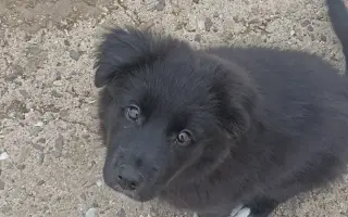 Pomoc pro Lilinku, která bojuje o život.