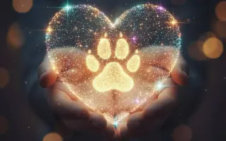 POMOC PRO FOXÍČKA - ZDRAVÝ DECH A PROTÉZA