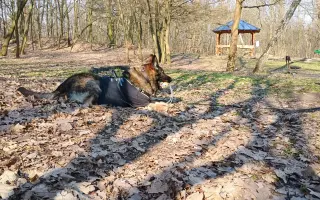 Léčba, která nekončí - Fůrie