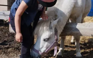 Pomozme zachovat Dvůr poslední šance