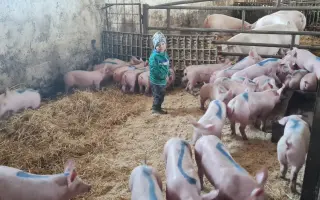 Prosíme o pomoc - sami to po požáru nezvládnou